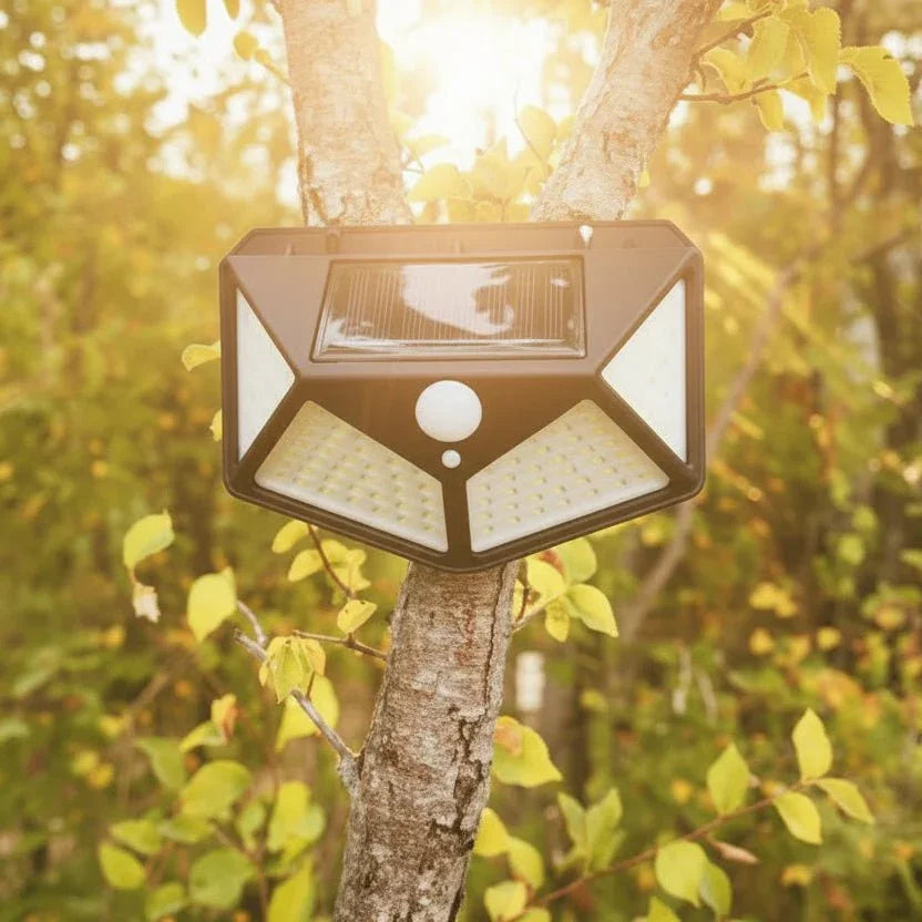 Eclairage solaire avec détecteur de mouvement pour jardin